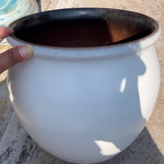 口25高24正品正品