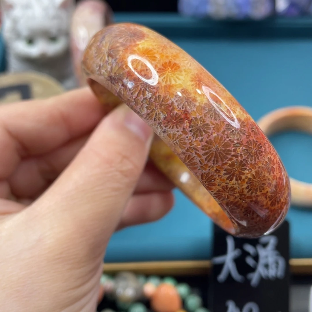 未镶嵌手镯硅化玉