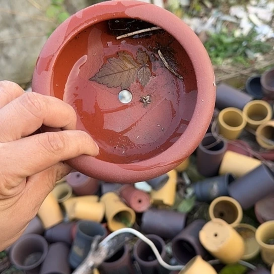 我是仲其祥家长小火炖