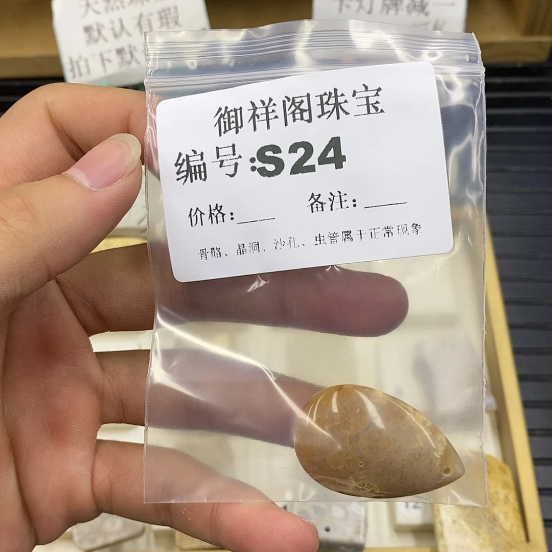 硅化珊瑚（珊瑚玉）未镶嵌颈饰月
