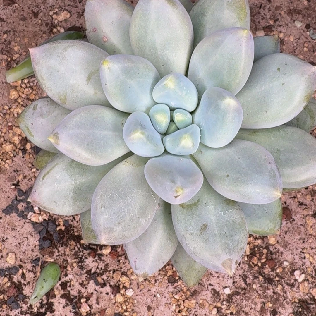 啊啊啊啊啊啊啊啊啊啊