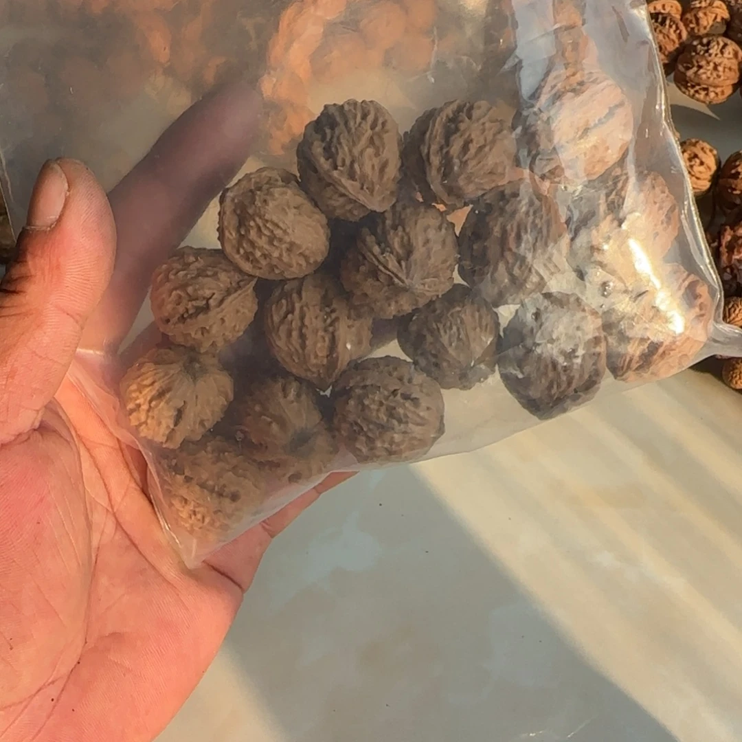 彭***圆吊坠文玩核桃核桃散籽