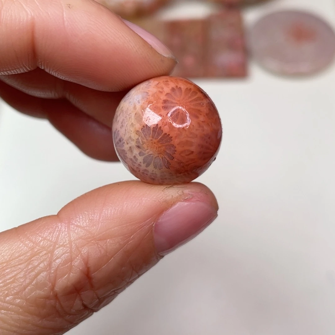 【闪购商品】未镶嵌吊坠(赠链)硅化玉