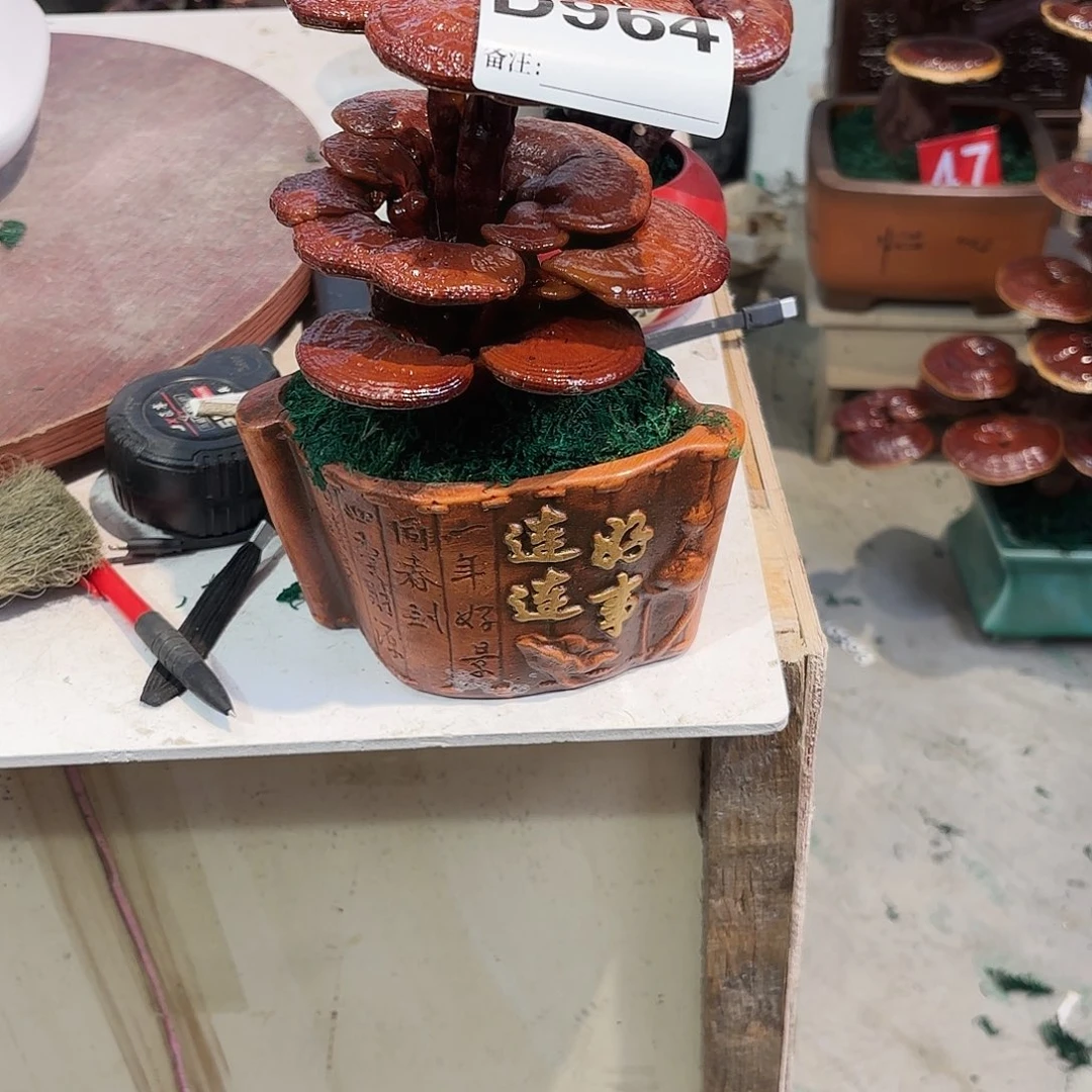 安***师无花朵灵芝888558855888888