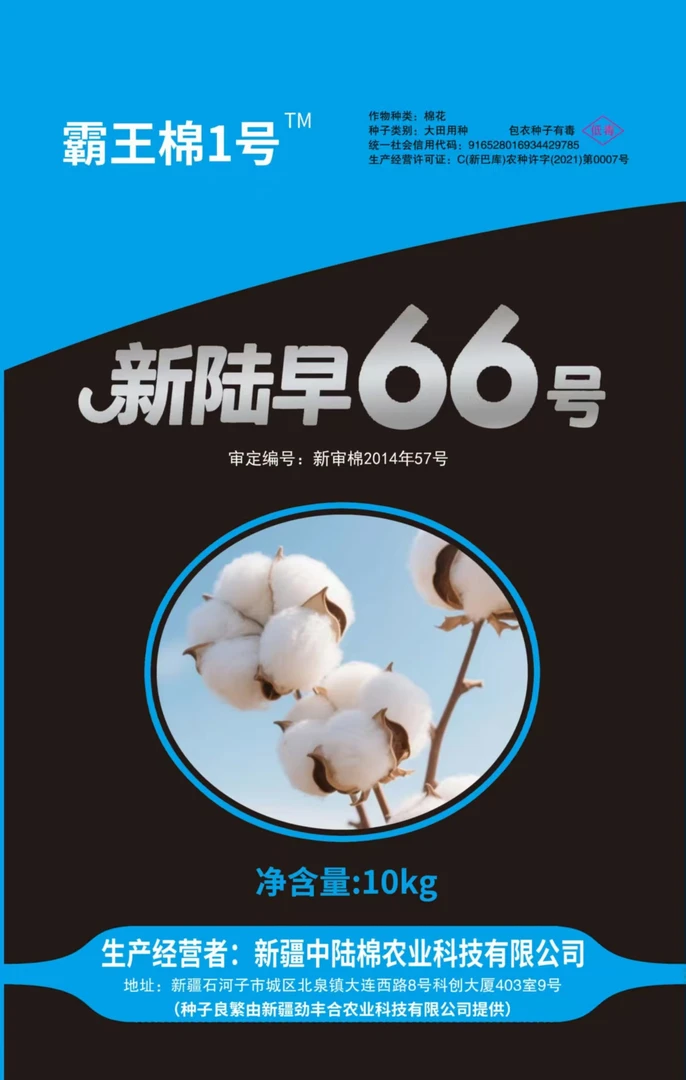 劲丰合霸王棉1号（意向金）