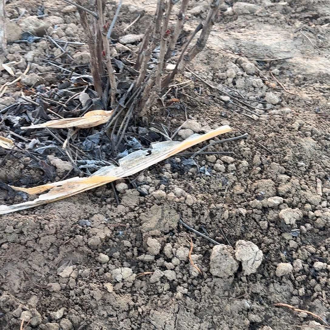 完全开放11111111111