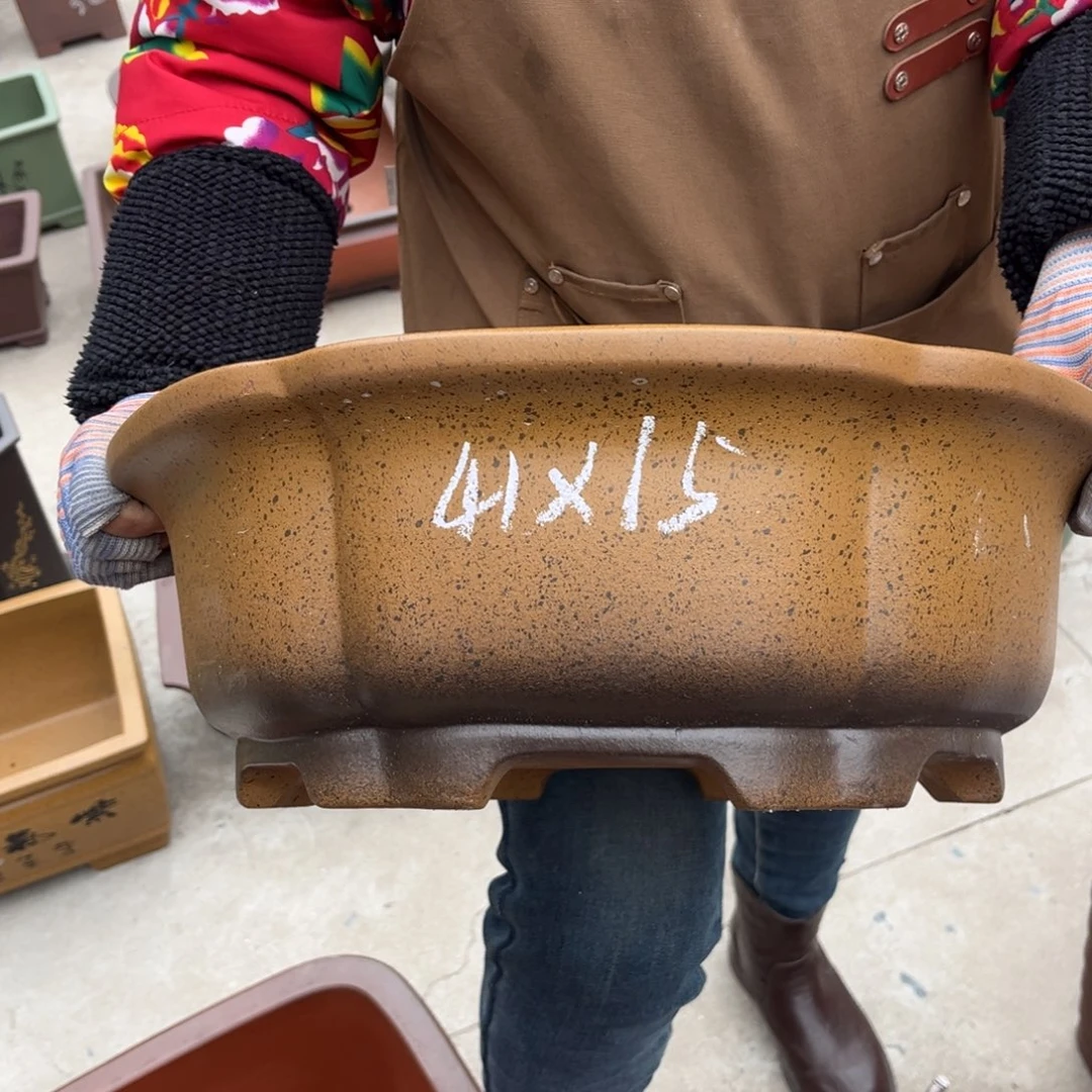 紫砂花盆盆景艺术