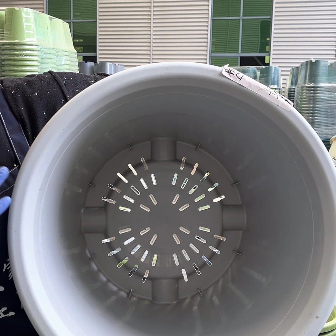 四季盆12#灰白色2个无托