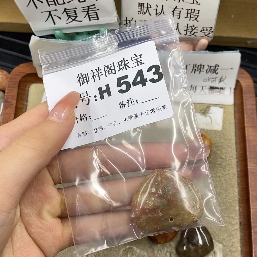 硅化珊瑚（珊瑚玉）未镶嵌颈饰P****r