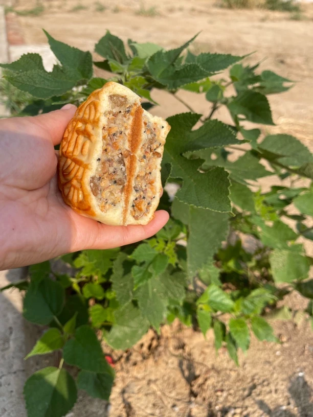 纯手工软酥皮月饼