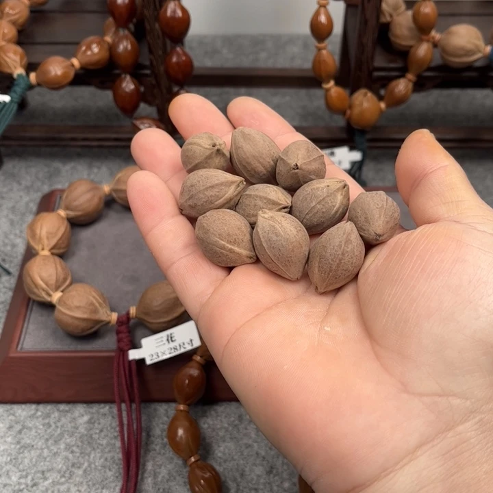 橄榄核手串/手链木*空12颗17*25尺寸