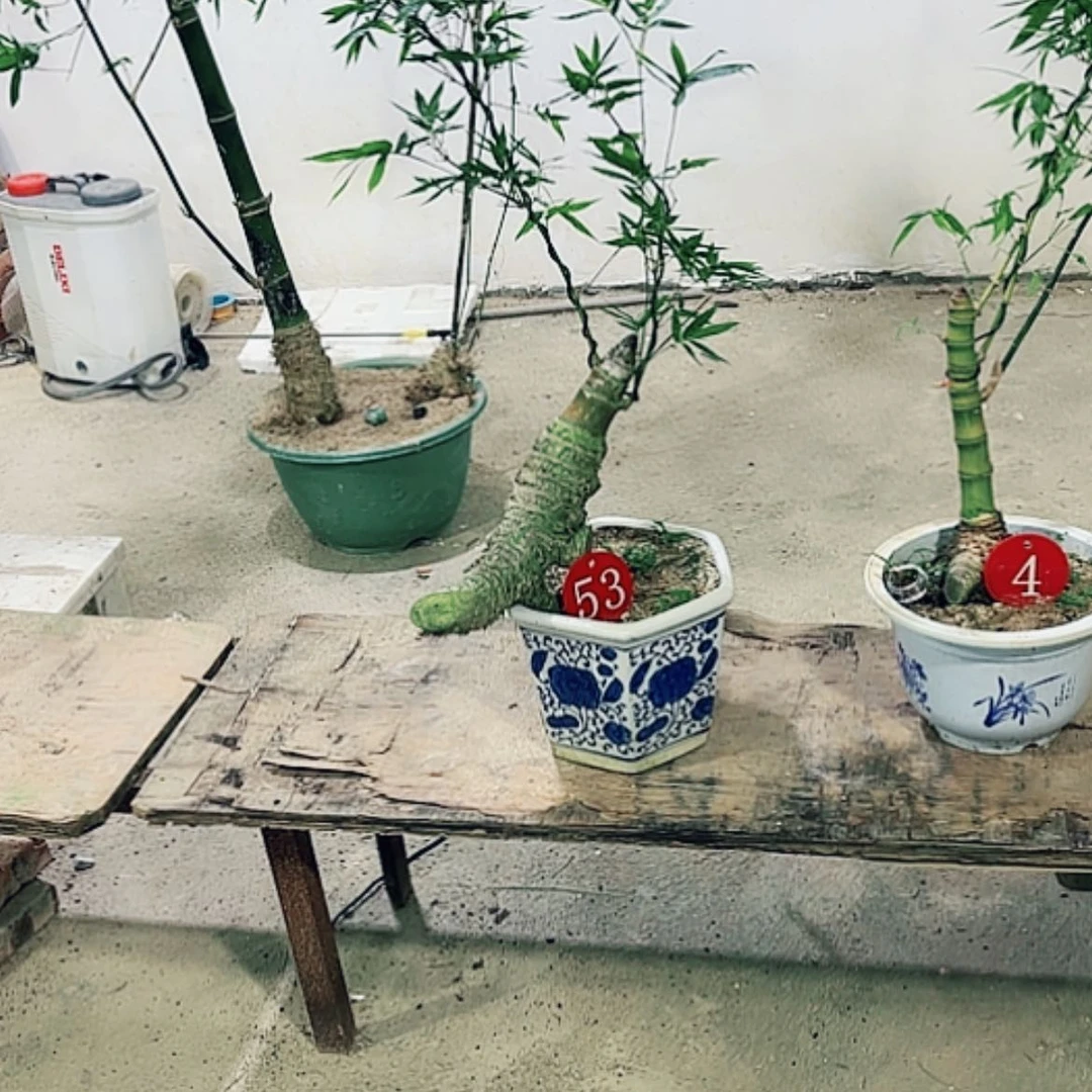 【闪购商品】完全开放万***打