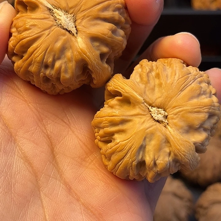 核桃秦岭突突突突突突80