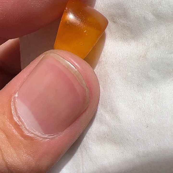 香榧木在家了一个小时