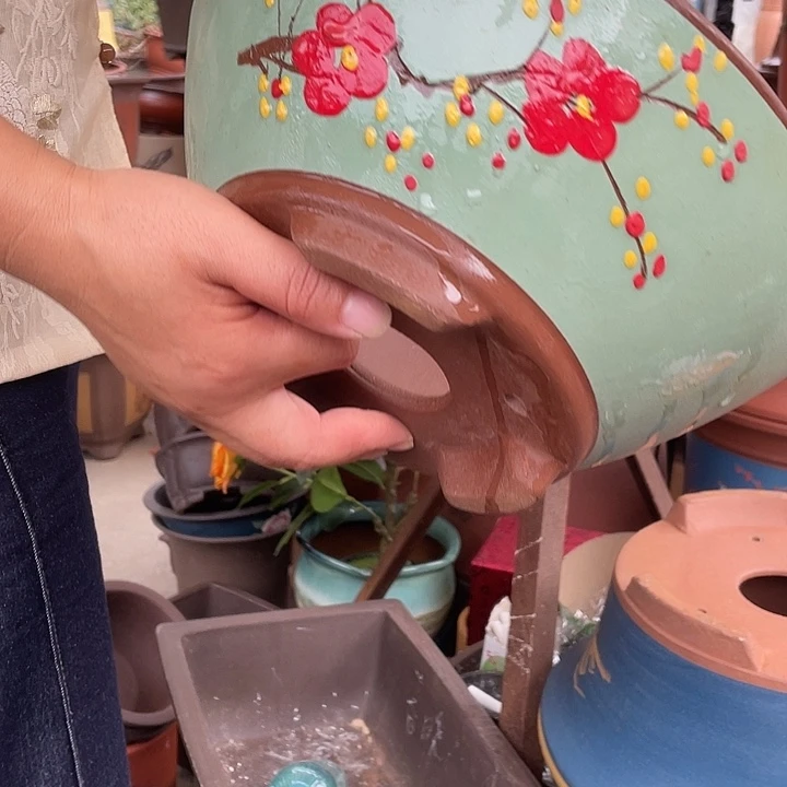 绿斗盆点菜小花盆紫砂花盆