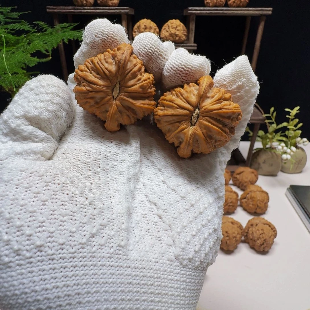 核桃把件0****u白狮子肚41边42