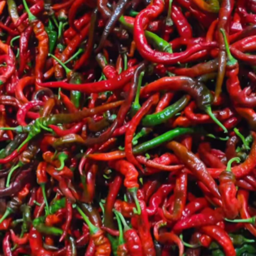 农户自家露天种植辣椒新鲜包邮