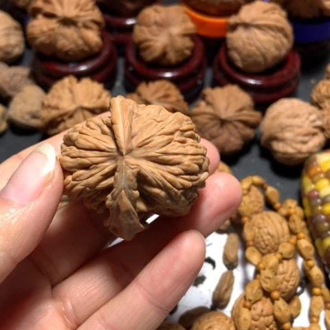 核桃w白狮子挂尖一个