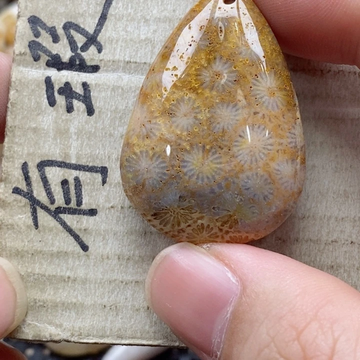 硅化珊瑚（珊瑚玉）颈饰未镶嵌@****