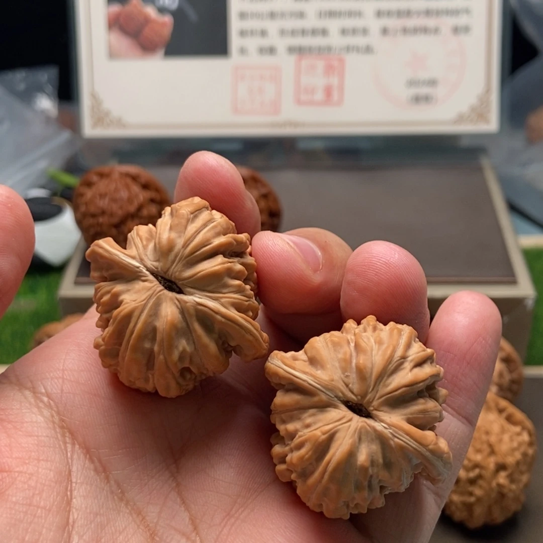 核桃手串/手链春***w汉高楼喜欢好评