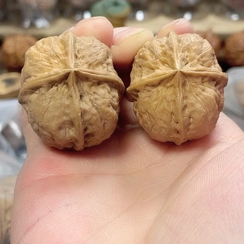 文玩核桃把件血麒麟带彩磕尖36+