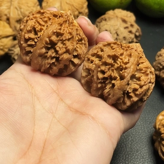 文玩核桃秦岭霸王龙