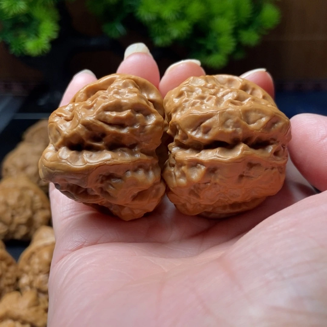 把件文玩核桃蛤蟆40