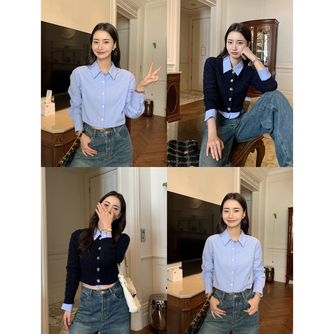 蓝色条纹衬衫女设计感刺绣叠穿衬衣百搭休闲短款气质上衣