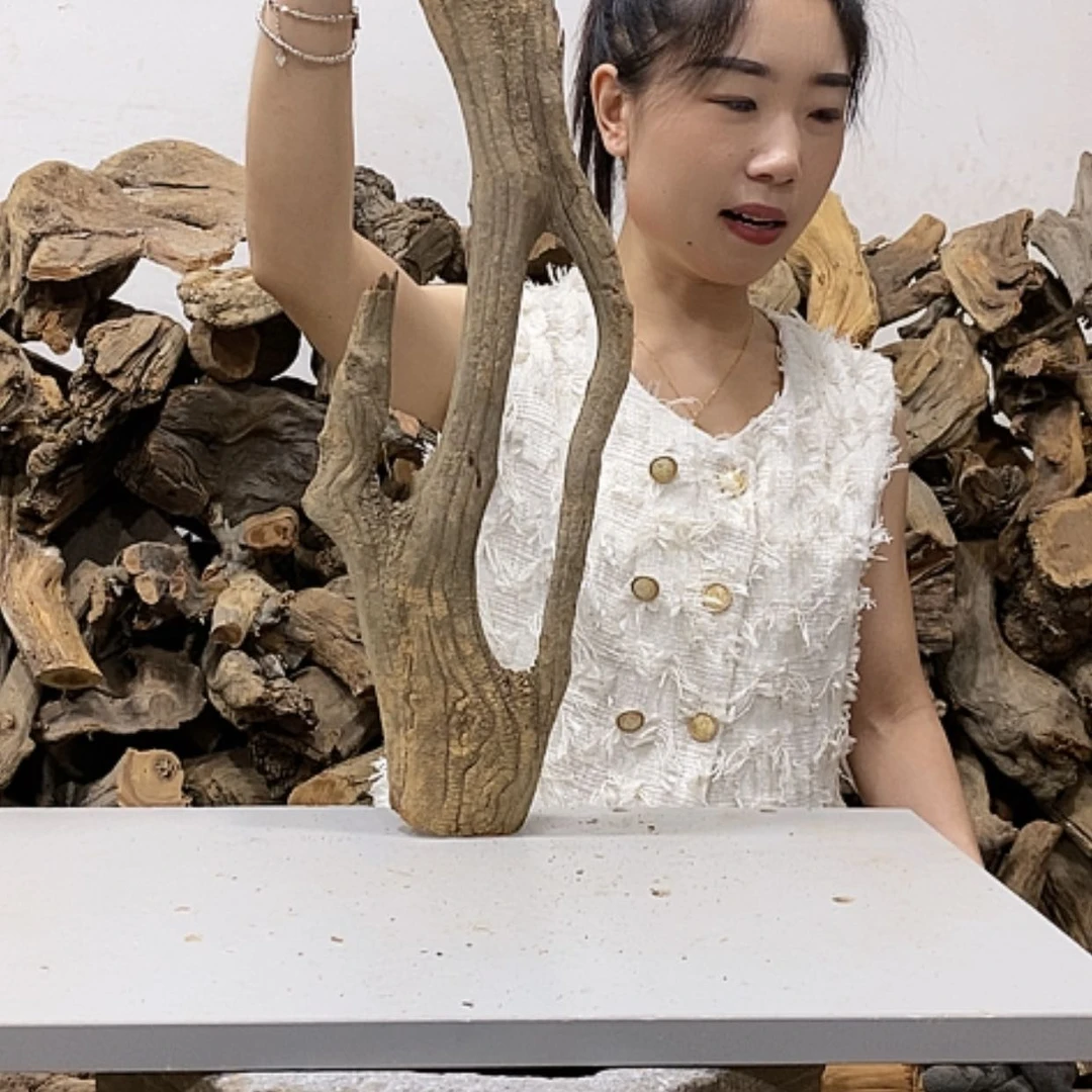 【闪购商品】柏木半***。我们都是好孩子