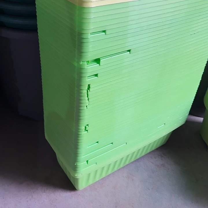 缺口菜盆43长8个无托果绿门口