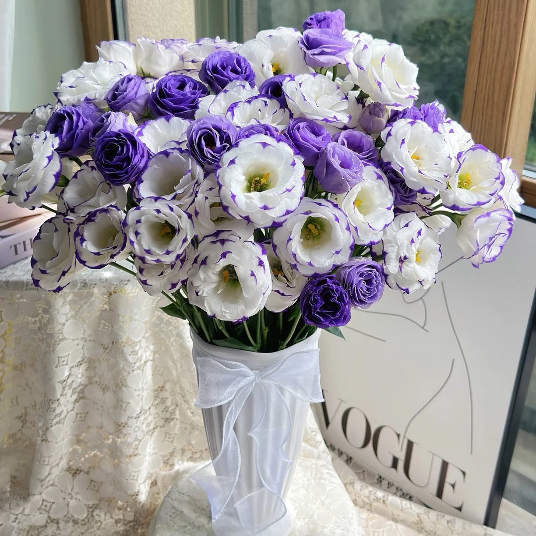 【花汀私享】暮紫色＋紫边白色-洋桔梗（800g~）直播间展示为主哦