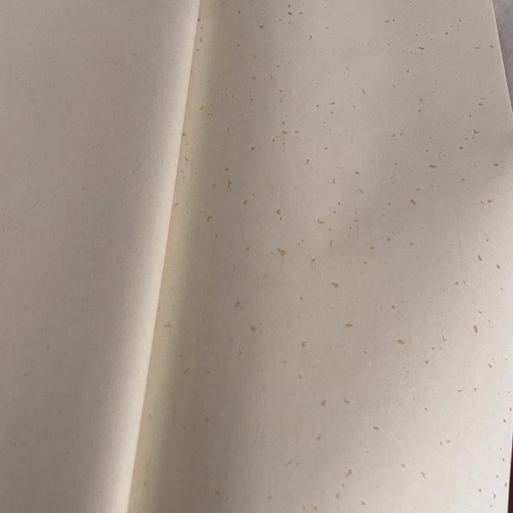 四尺仿古洒金50处理