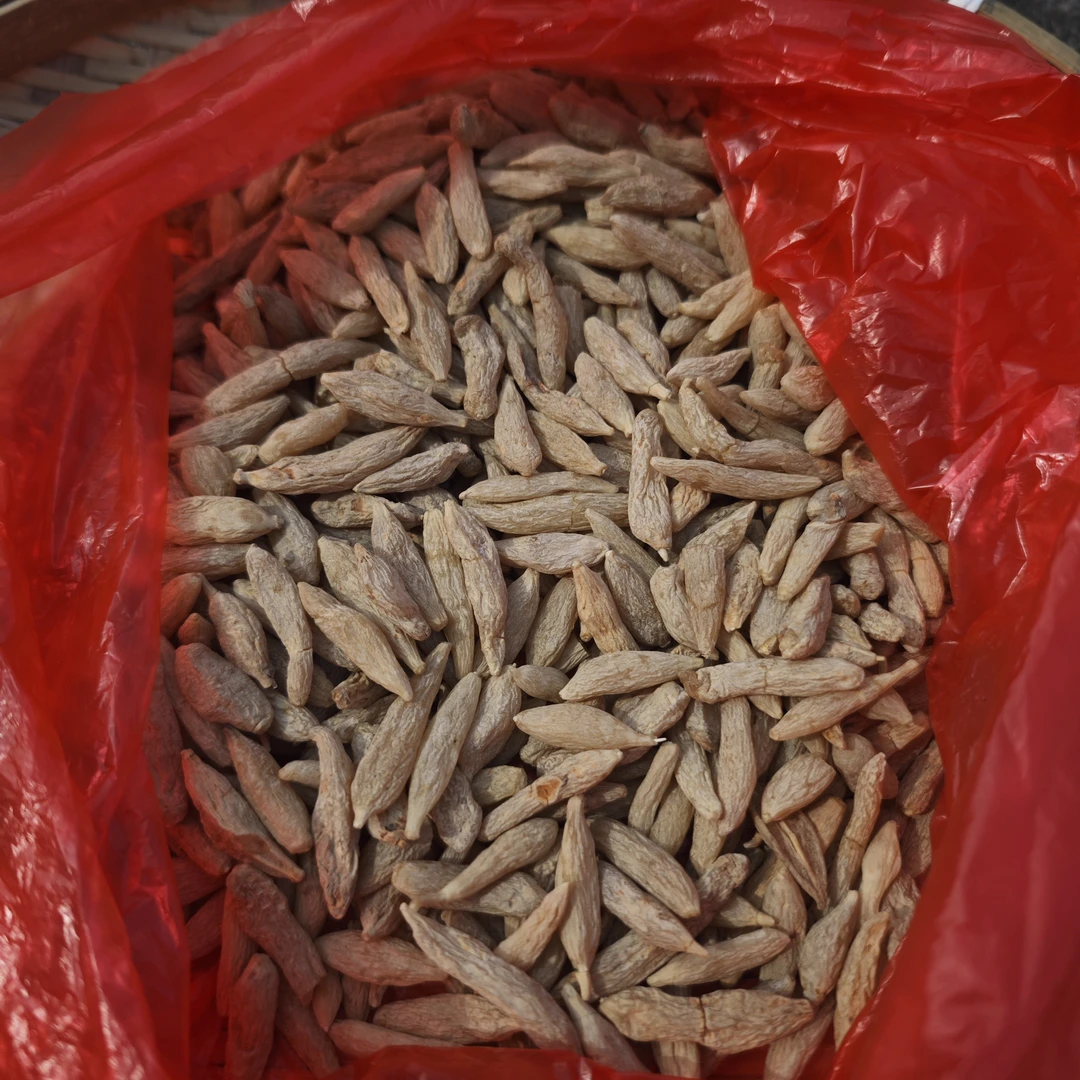 农家川麦冬无熏硫无染色麦冬