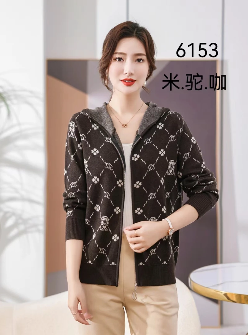 6153春秋新品休闲时尚百搭显瘦连帽拉链针织衫