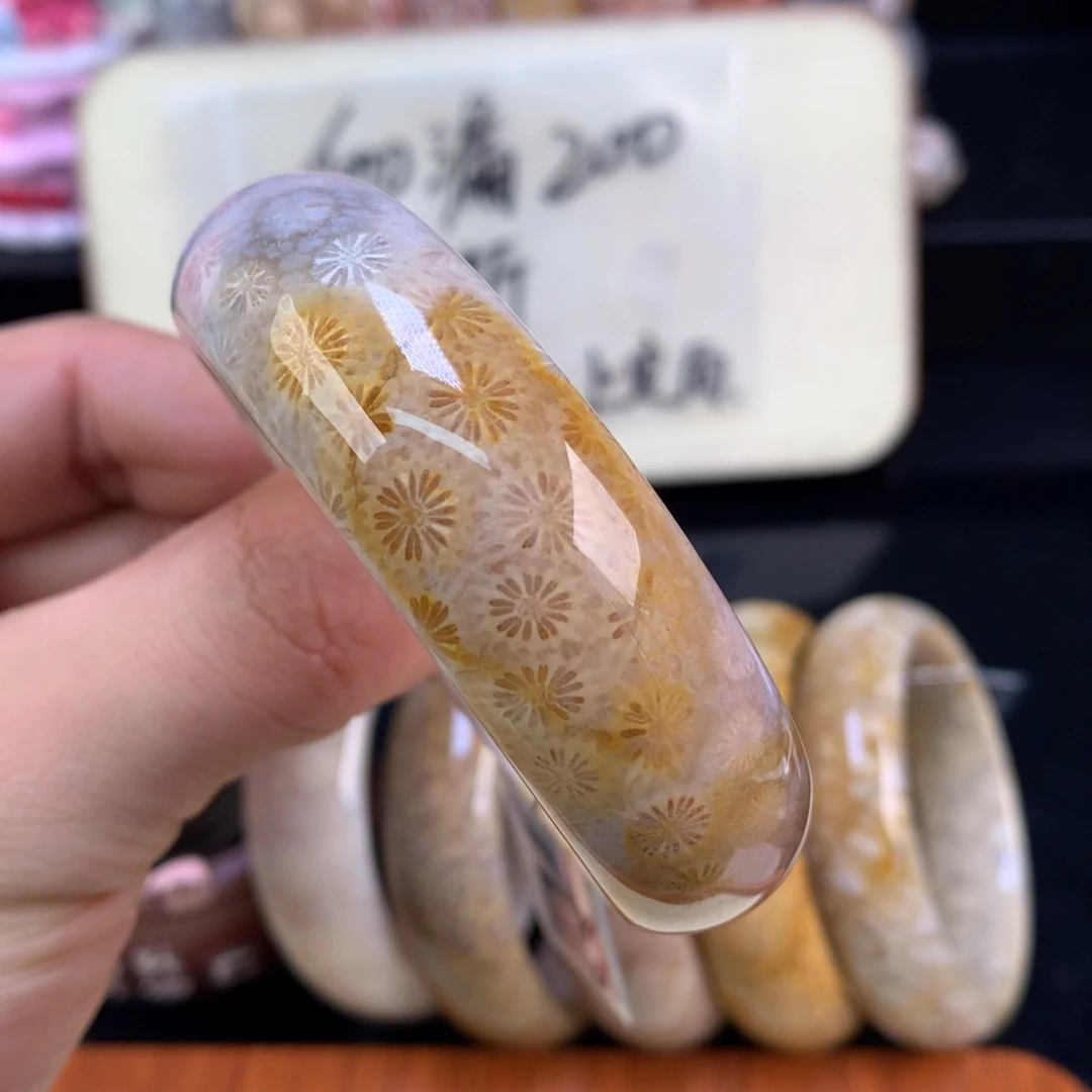 硅化珊瑚（珊瑚玉）未镶嵌颈饰62号52.8圈雏菊