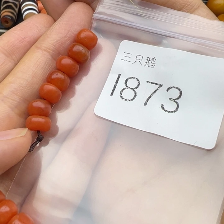 吊坠菩提根/象牙果