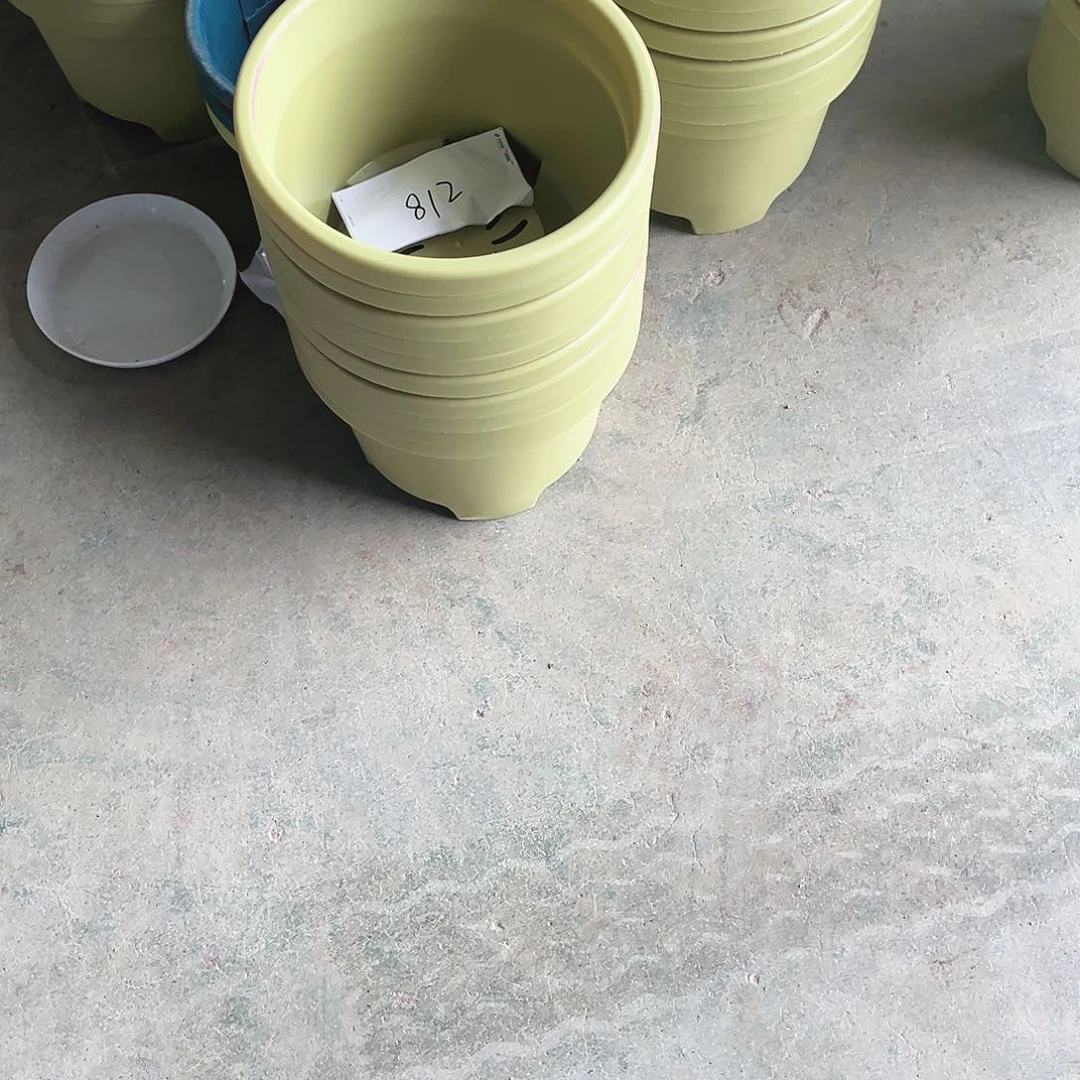 编号是812号的812号的