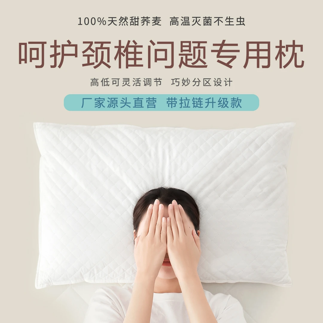 荞麦枕头A类纯荞麦枕卧室枕头枕芯荞麦壳枕头
