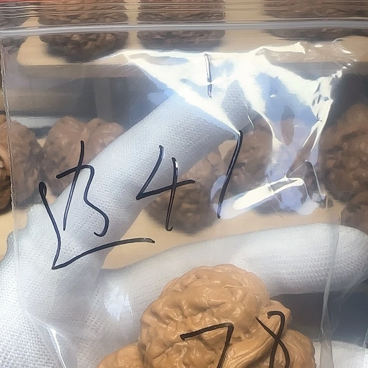 桃核吊坠边41左右1