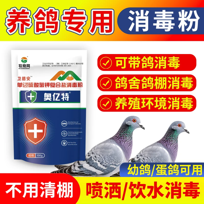 鸽子鹌鹑土鸽肉鸽信鸽家鸽养鸽场环境消毒用 55%过硫酸氢钾消毒剂
