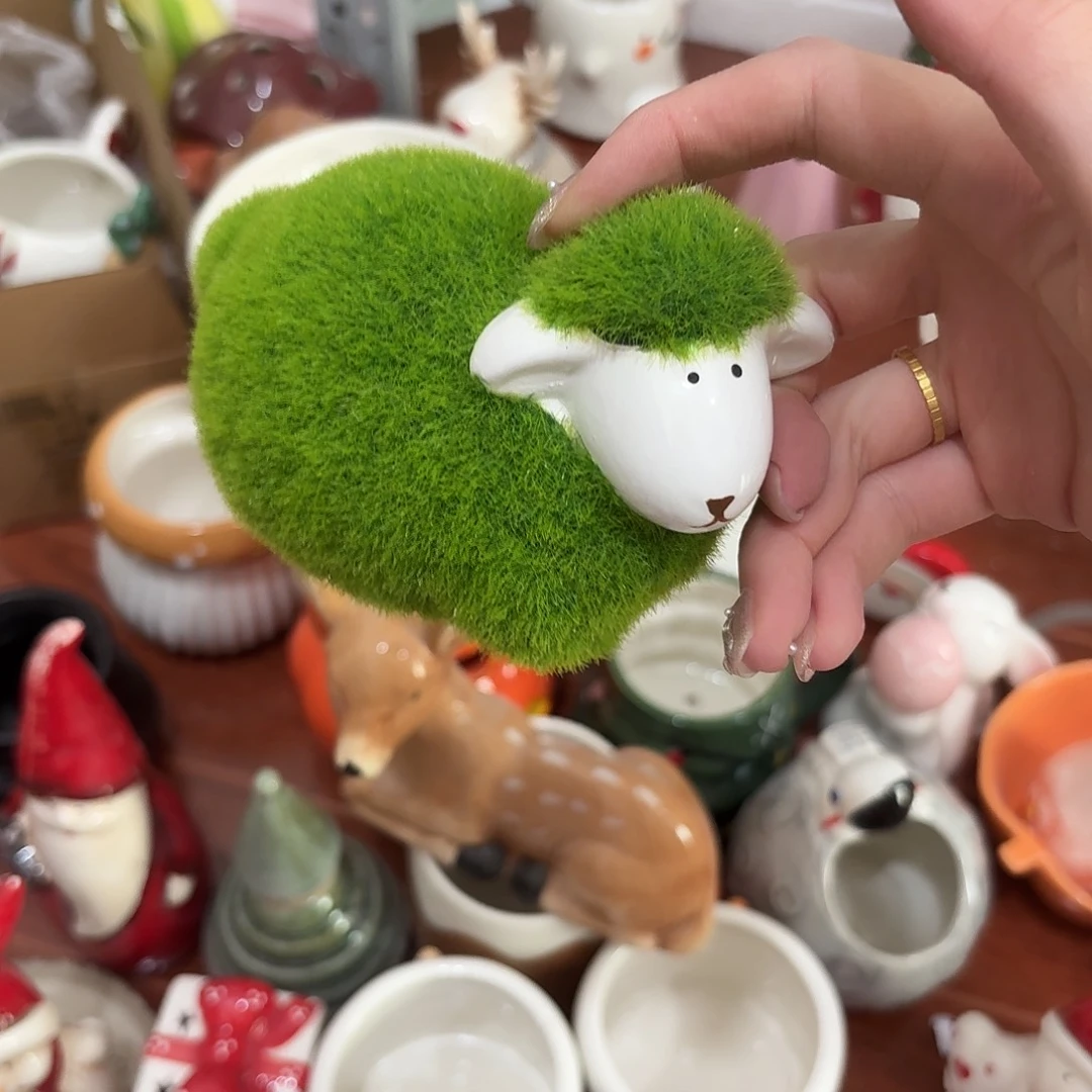 瓷片陶瓷完美主义慎拍