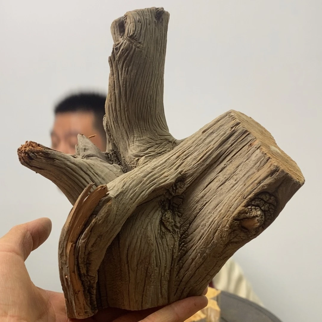 晒***好柏木（崖柏）我们都是好孩子