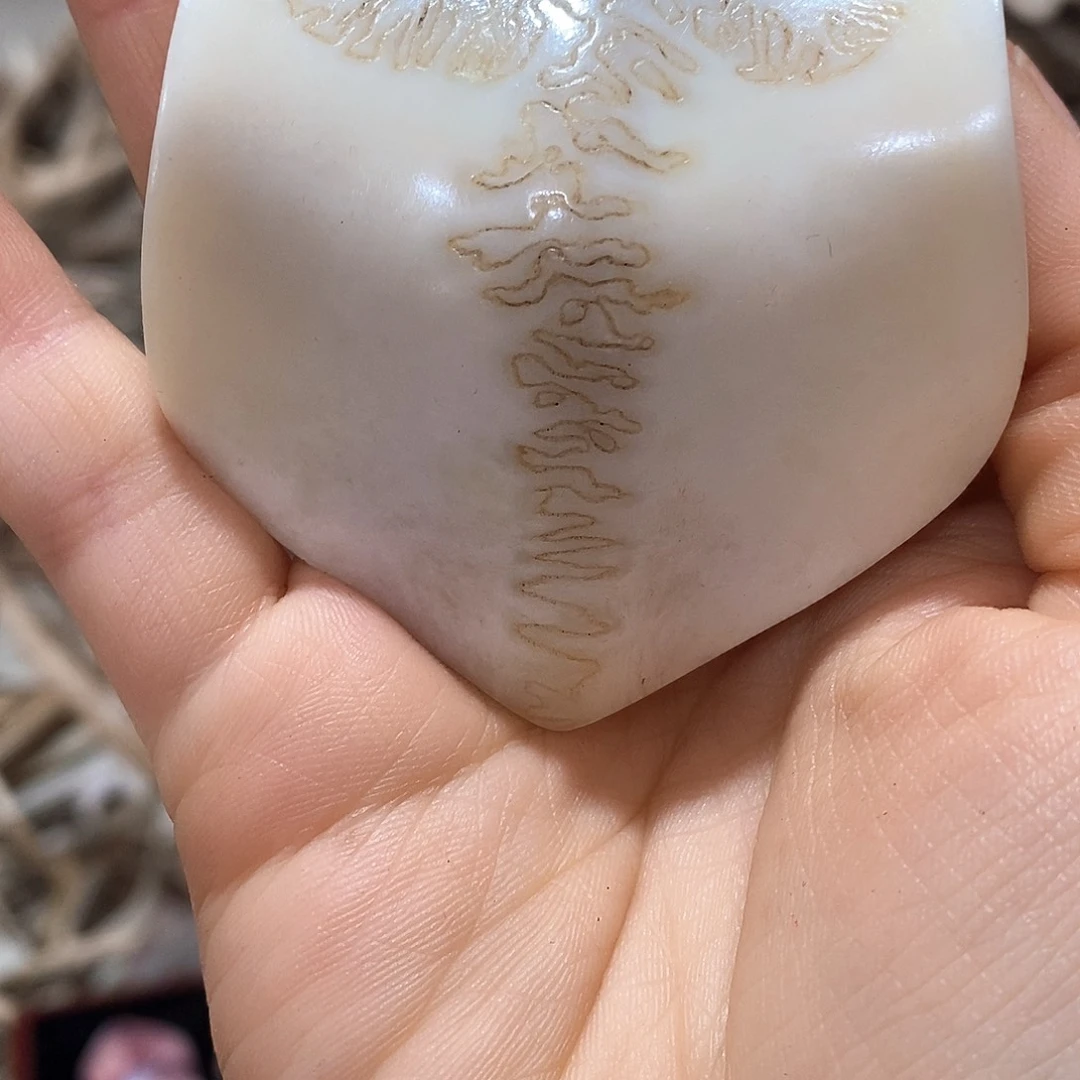 蔡****叽三界三界三界三