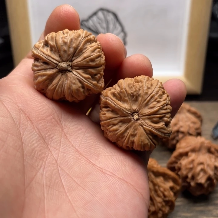 核桃金蝉子平底锅