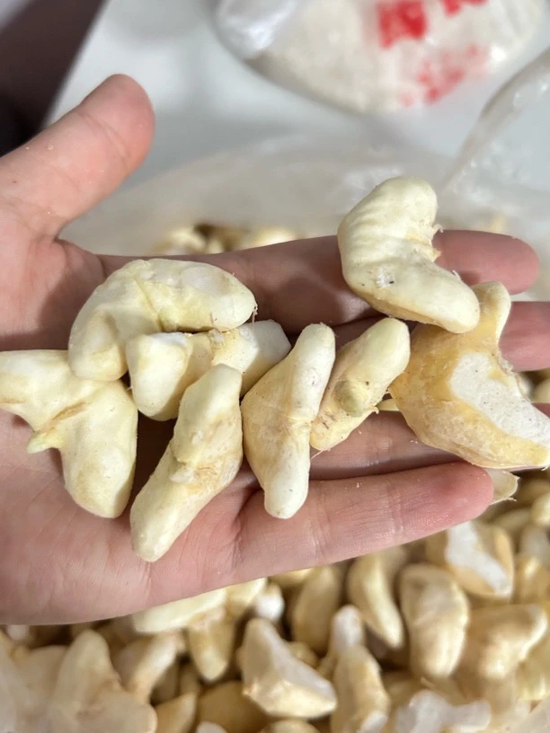 湖北洪湖新鲜去壳菱角米当季热卖嫩菱角含水去皮菱果米3斤