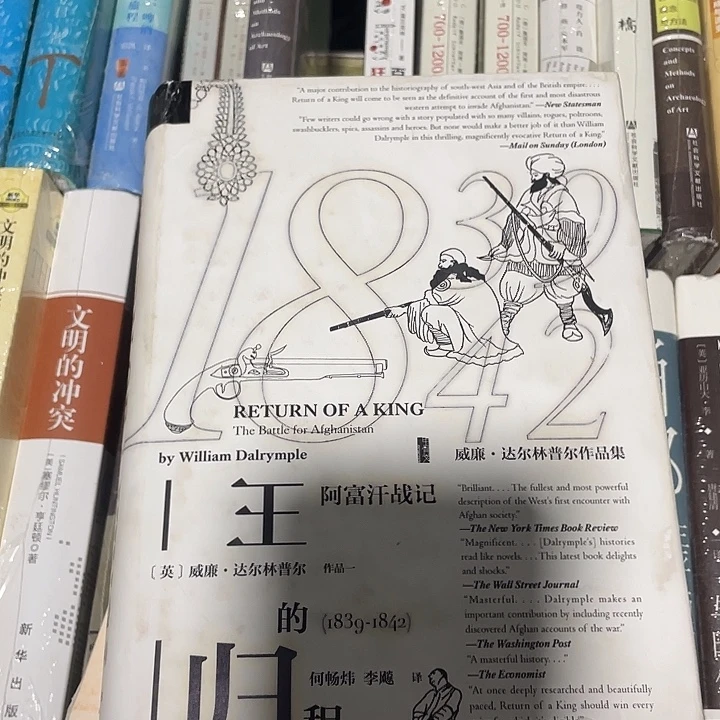 王的归程微瑕微瑕