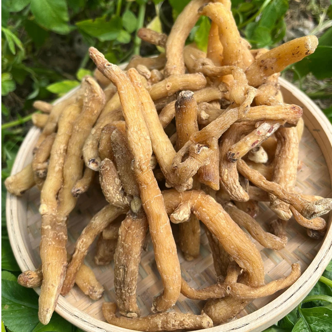 [玉竹条]粤北连州玉竹农家自种自晒干身无硫玉竹条干500克一包