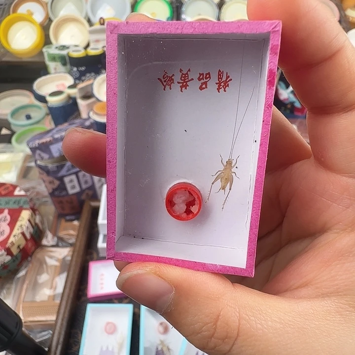 蟋蟀中黄龄一只……断……随单