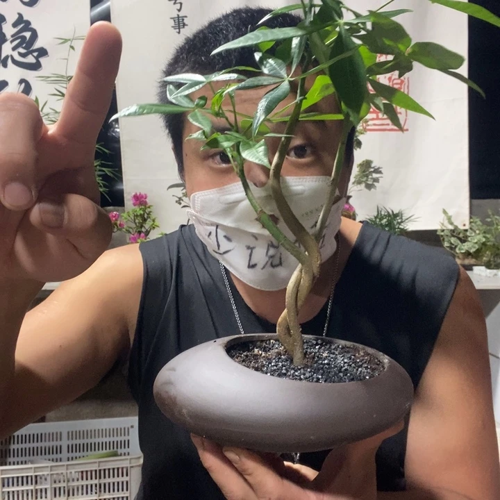 是***啊无花朵退款拉黑一物一拍122