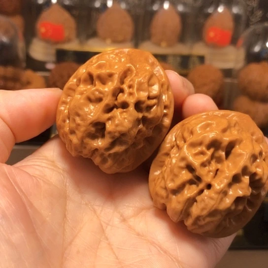 野生高端：金蟾眼